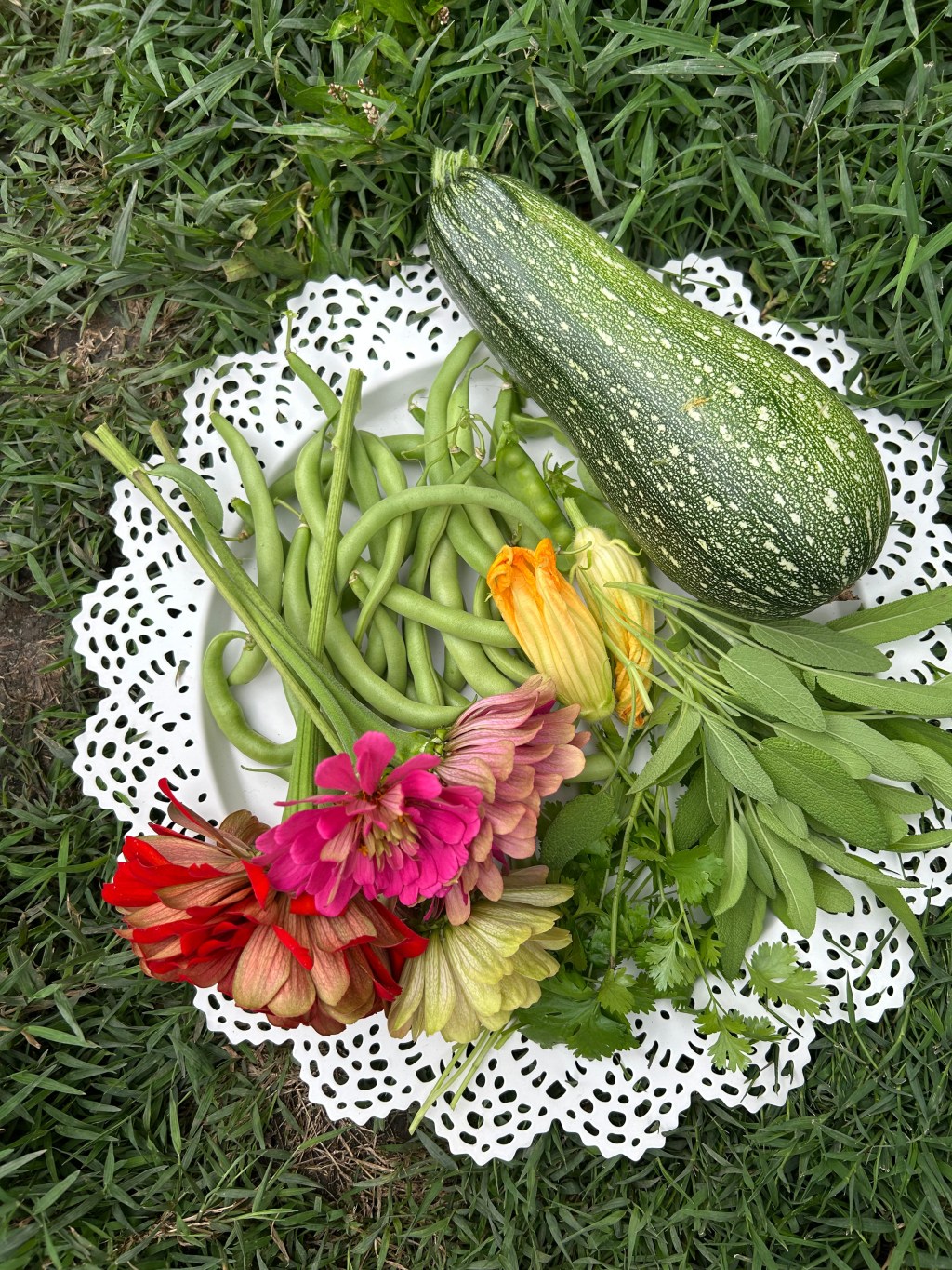 My first really good&nbsp;harvest.