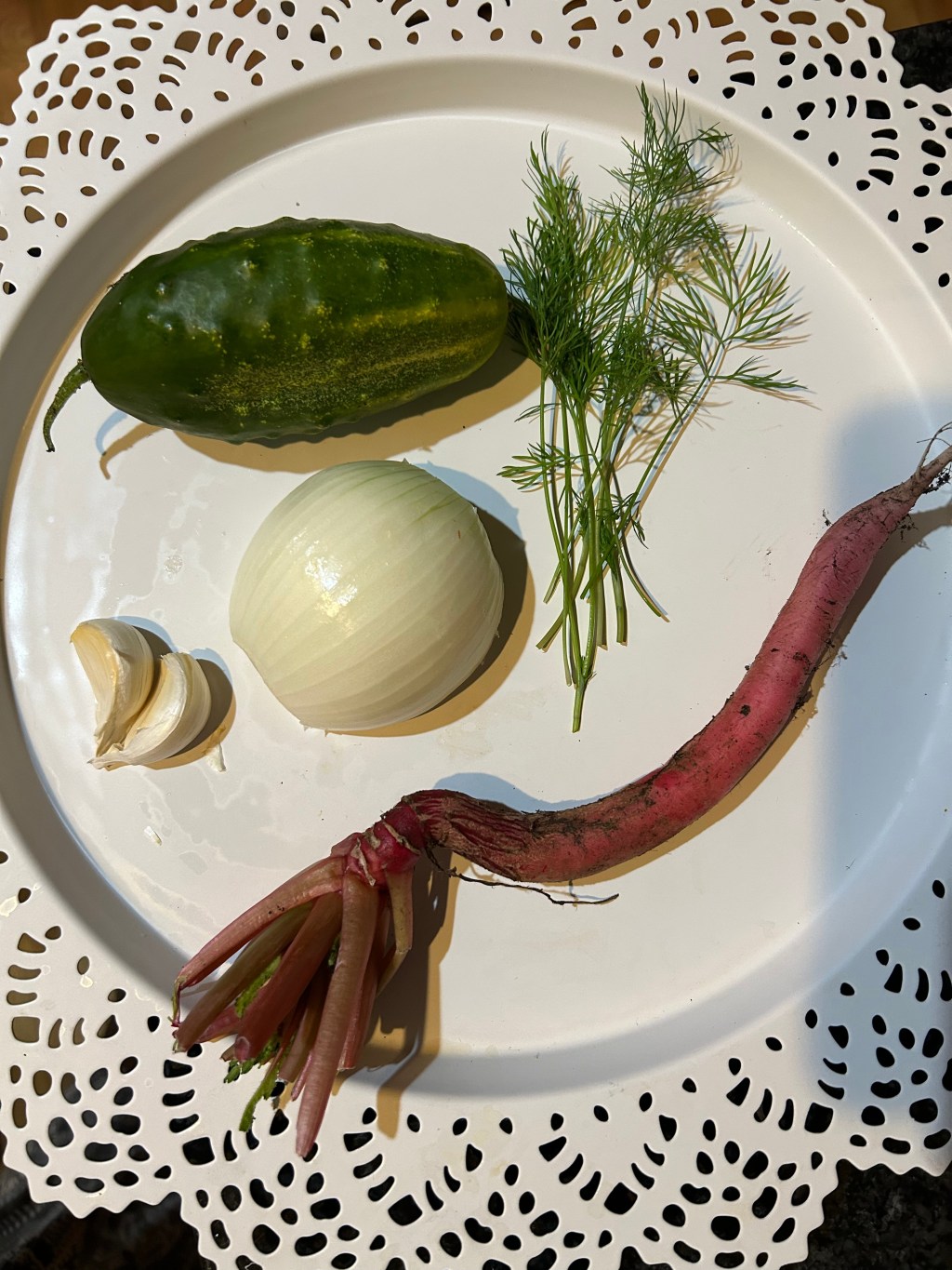 When your garden gives you dill, cucumber and radishes……..