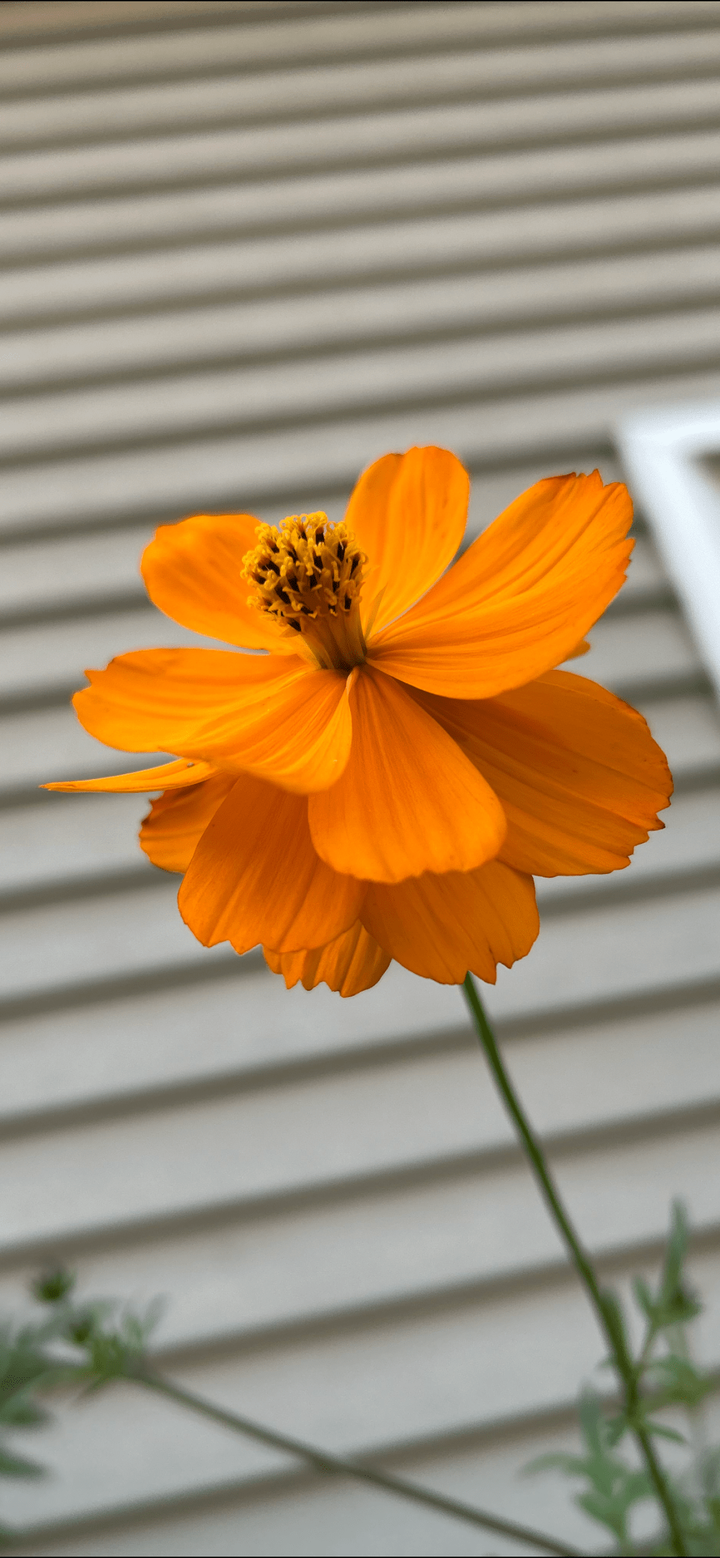 A beautiful sight………