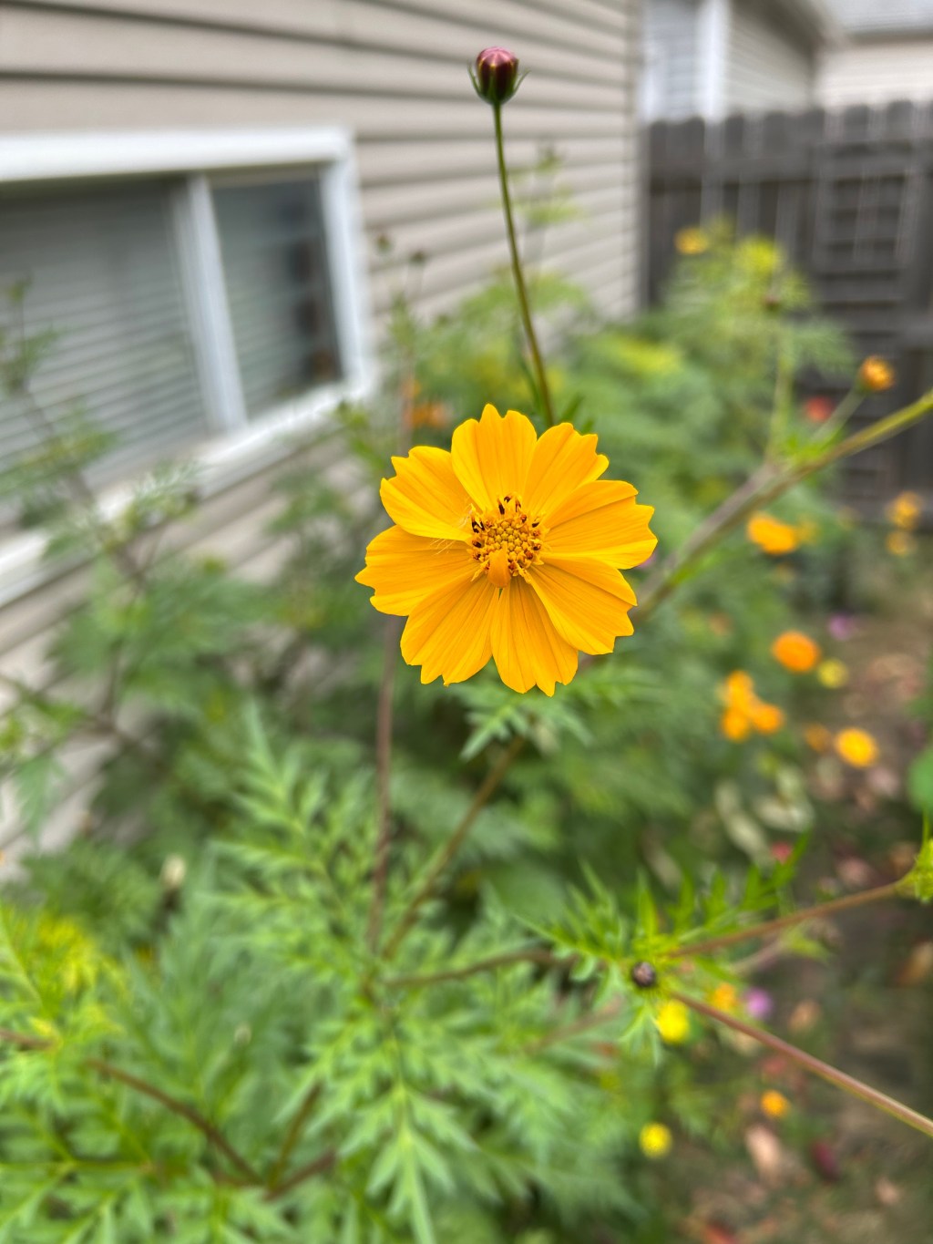 Peace and Tranquility